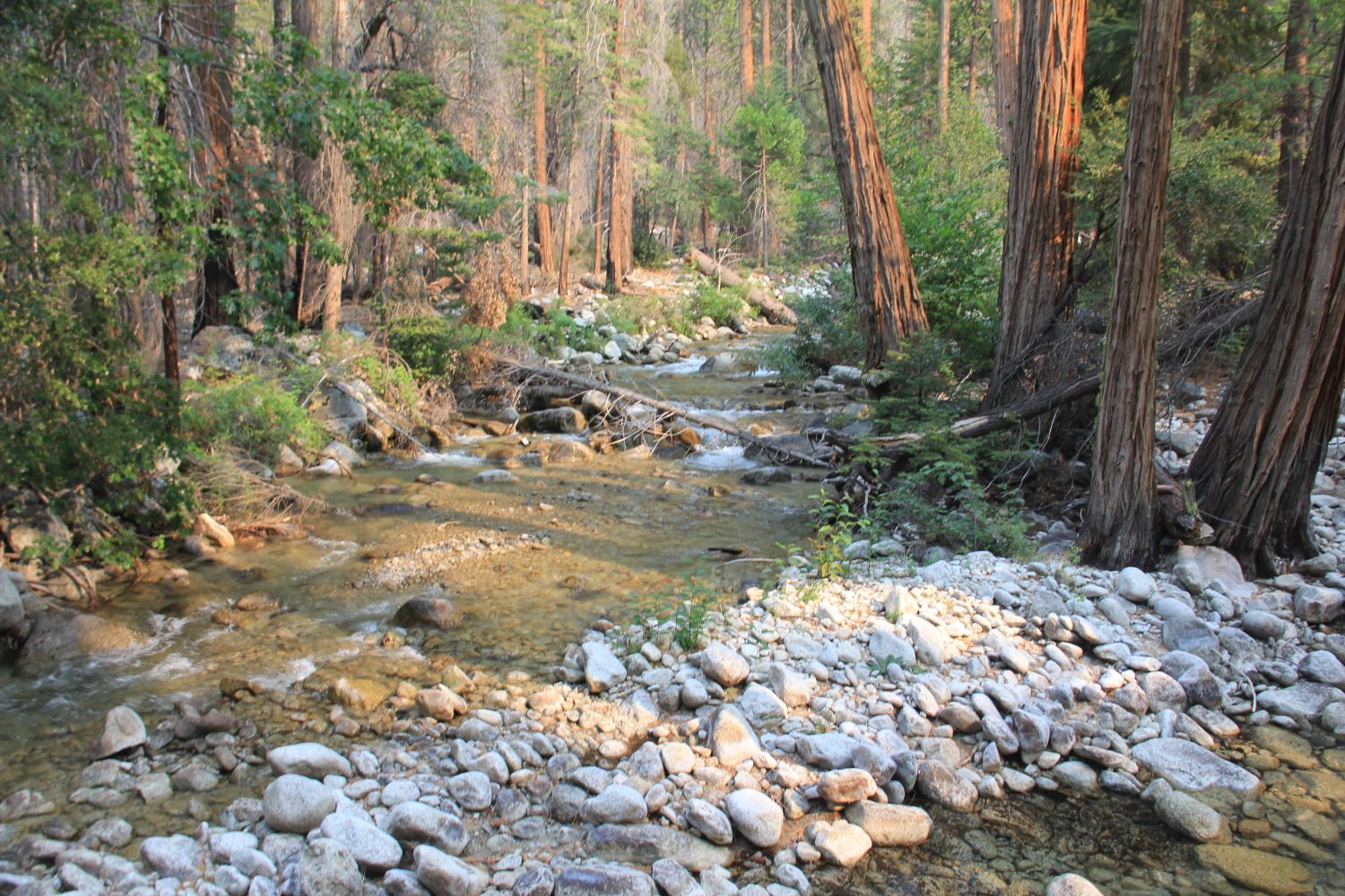 Kanawyer Loop Trail 